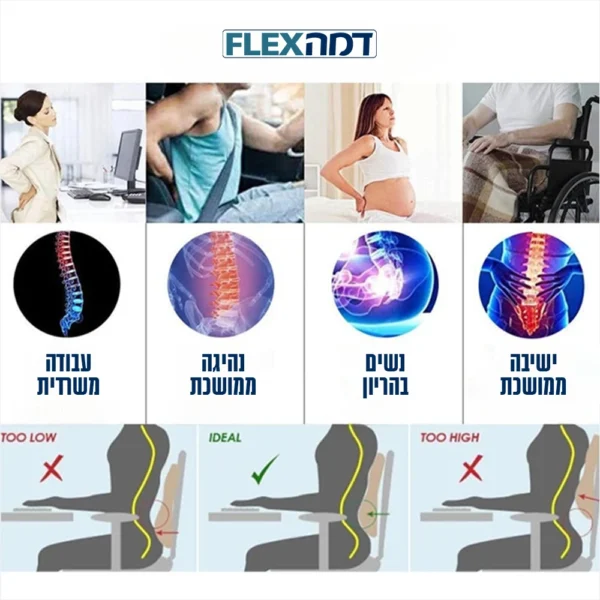 כרית אורטופדית לגב